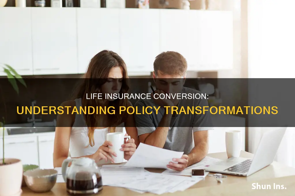 what is life insurance conversion