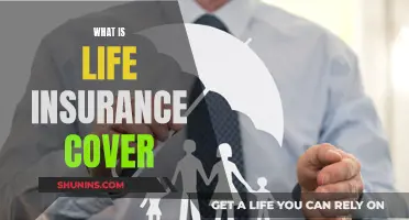 Understanding Life Insurance: Covering Your Basics