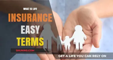 Life Insurance 101: Understanding the Basics Simply