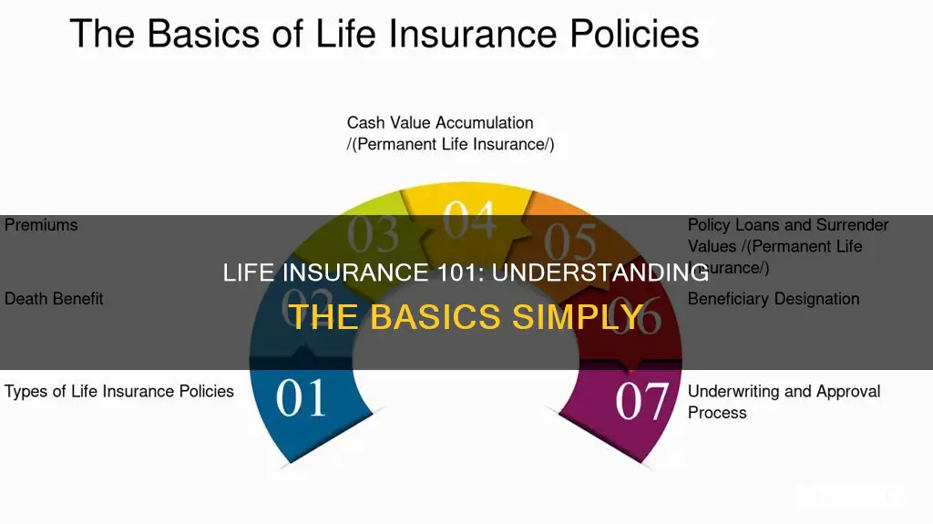 what is life insurance easy terms