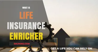 Unraveling the Mystery: Life Insurance Enricher Explained