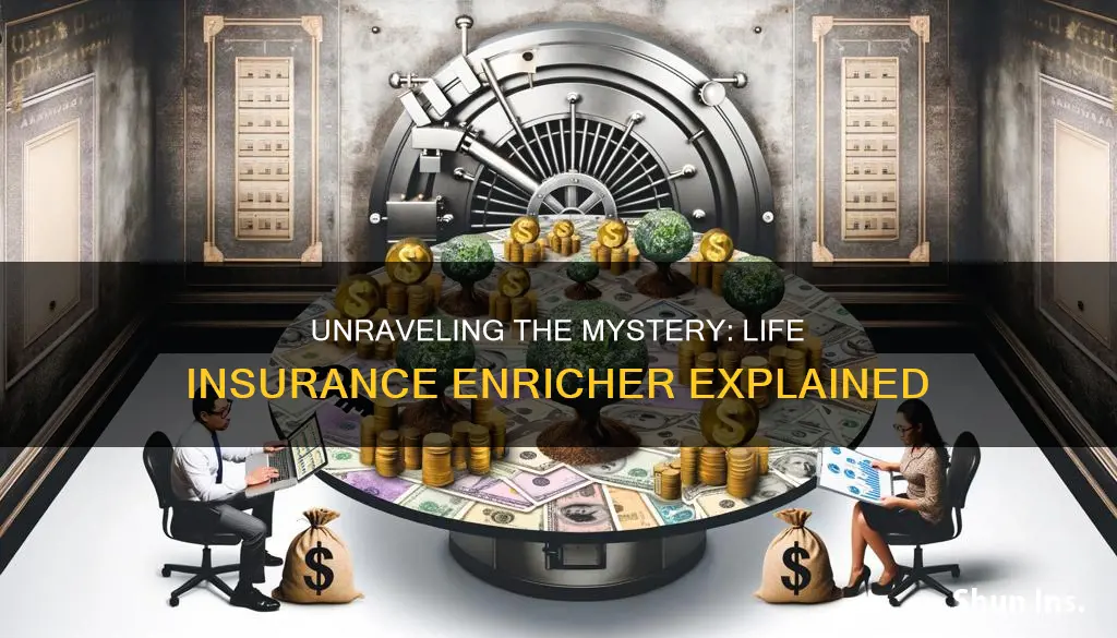 what is life insurance enricher