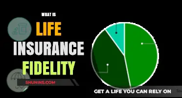 Understanding Life Insurance Fidelity: A Comprehensive Guide