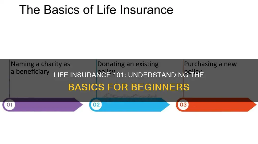 what is life insurance for dummies