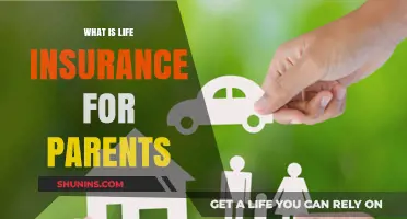 Protecting Your Family: Life Insurance for Parents Explained