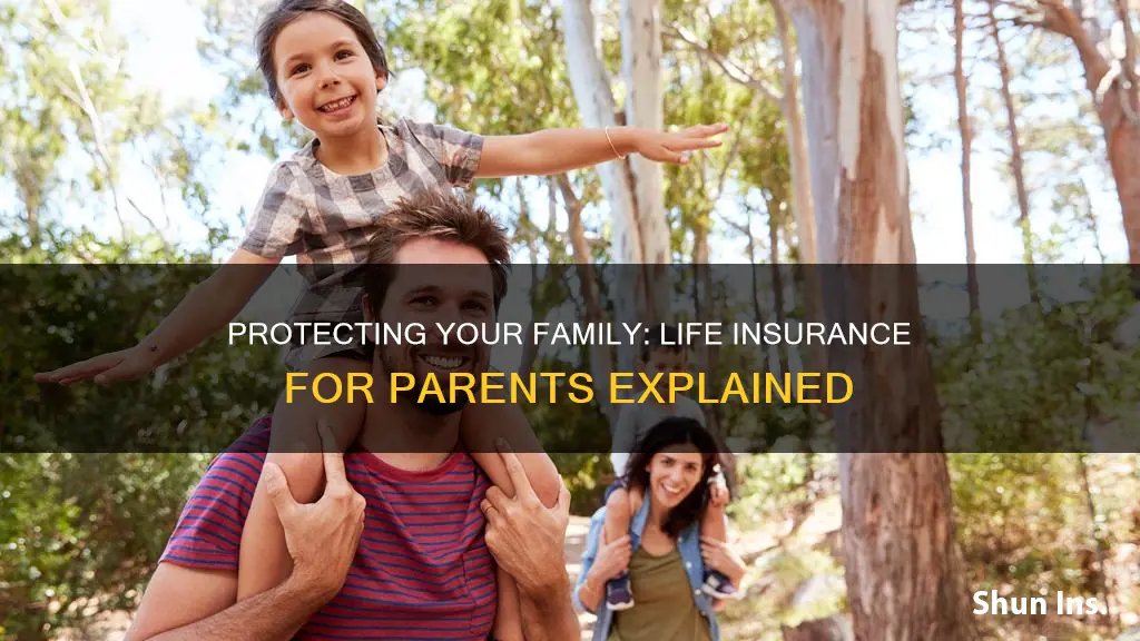 what is life insurance for parents