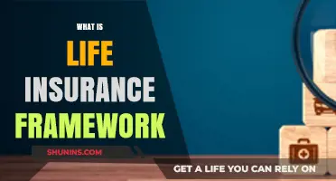 Understanding the Core: Life Insurance Framework Explained