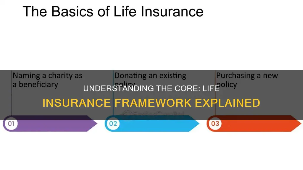 what is life insurance framework