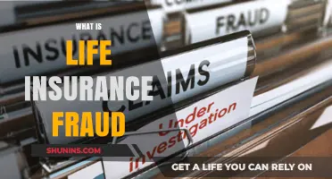 Unveiling the Dark Side: Understanding Life Insurance Fraud