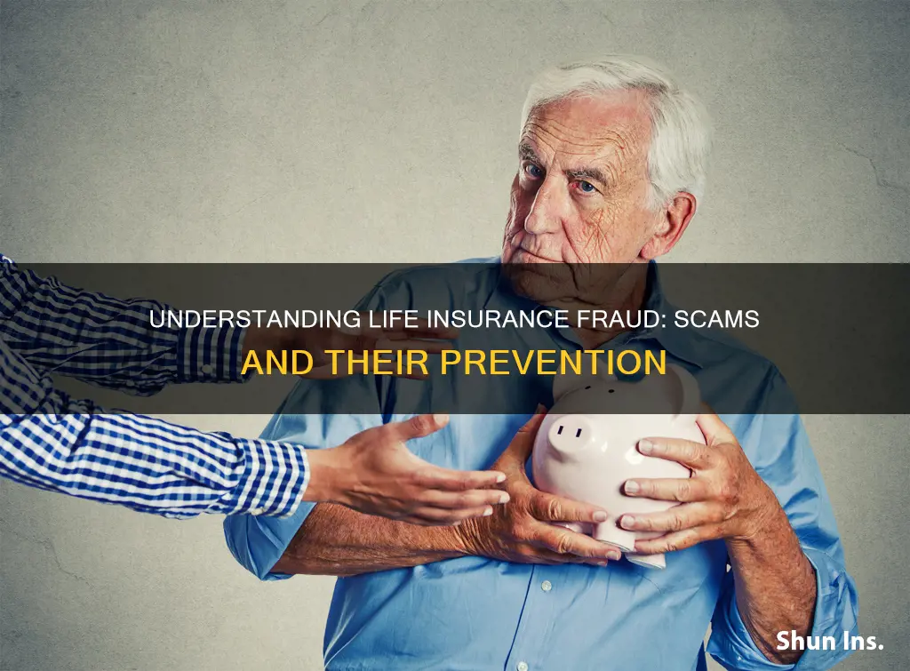 what is life insurance fraud