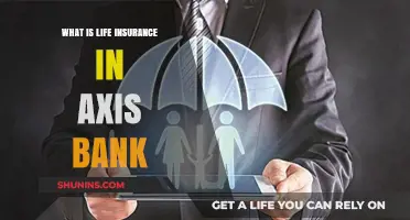 Axis Bank Life Insurance: Protecting Your Future