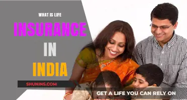 Understanding Life Insurance: A Comprehensive Guide for Indians