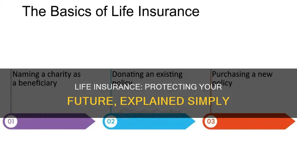 what is life insurance investopedia