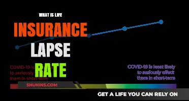 Understanding Life Insurance Lapse Rates: Causes and Solutions