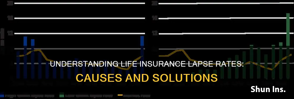 what is life insurance lapse rate