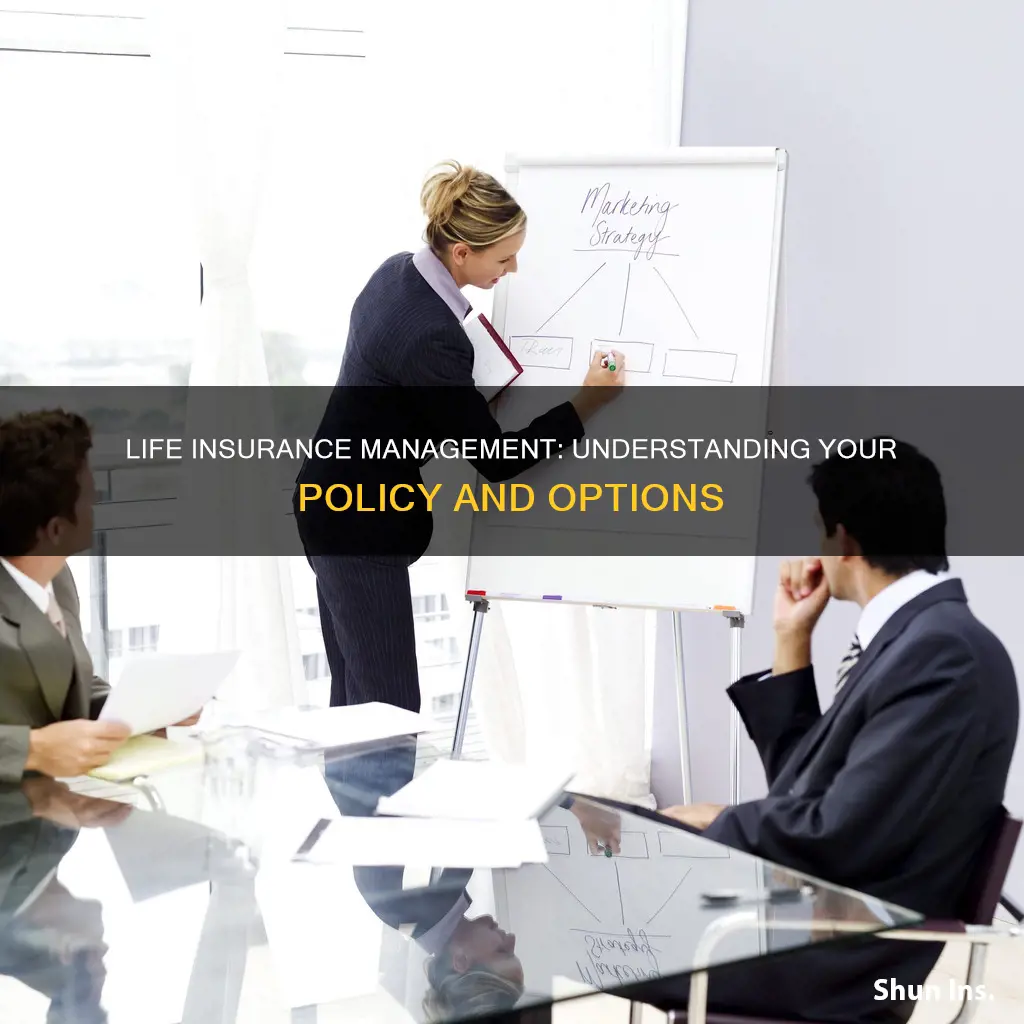 what is life insurance management