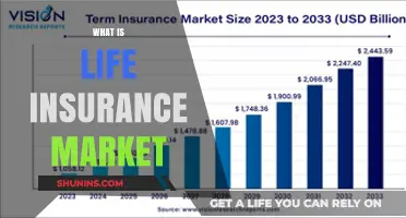 Unraveling the Complexities of the Life Insurance Market