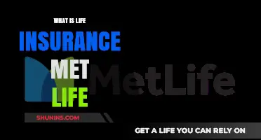 MetLife: Unlocking Life Insurance Benefits for a Secure Future