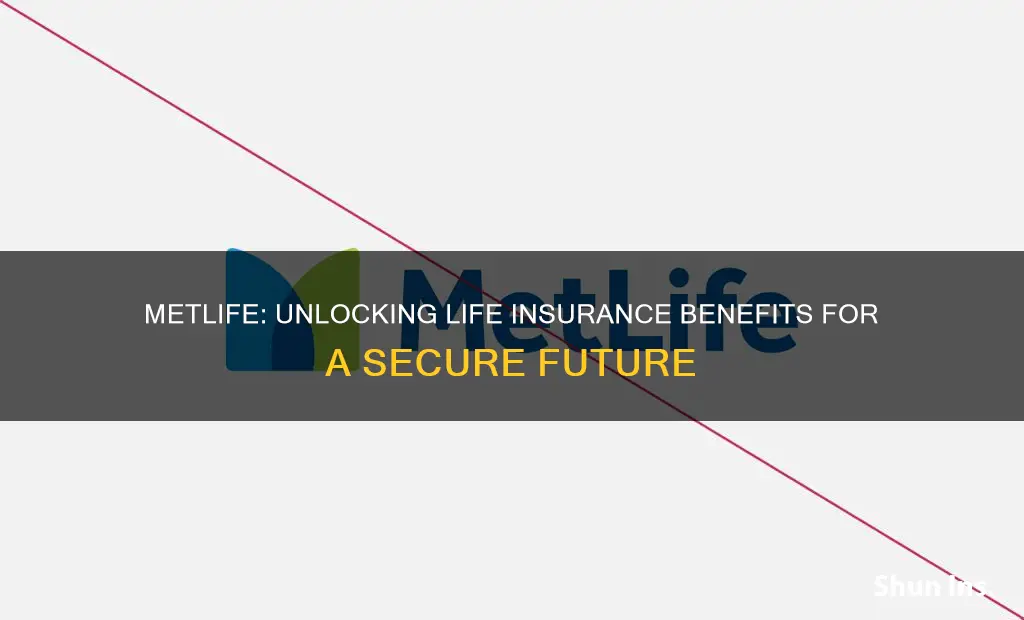 what is life insurance met life