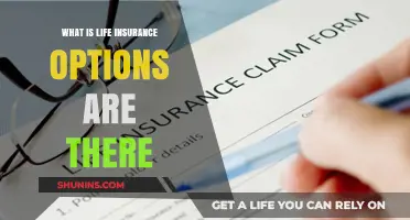 Life Insurance: Understanding Your Options for Financial Security