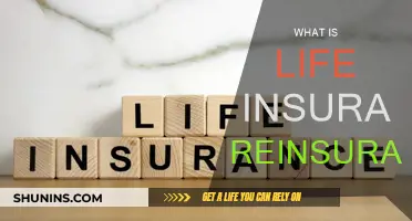 Understanding Life Insurance Reinsurance: A Comprehensive Guide