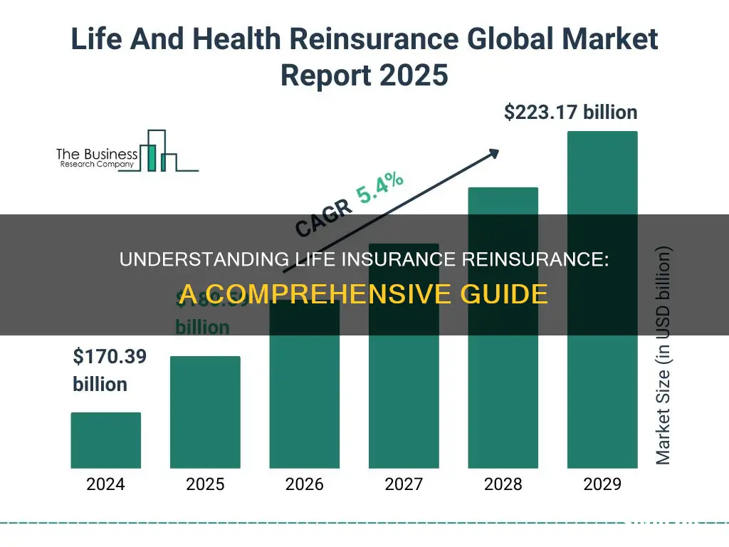 what is life insurance reinsurance