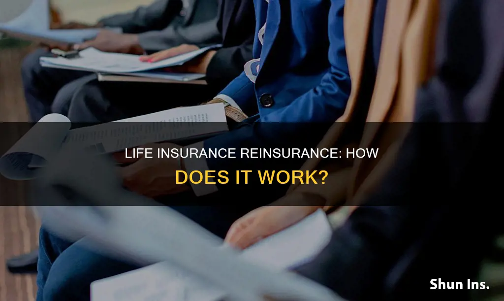 what is life insurance reinsurance