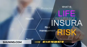 Understanding Life Insurance Risks: A Comprehensive Guide