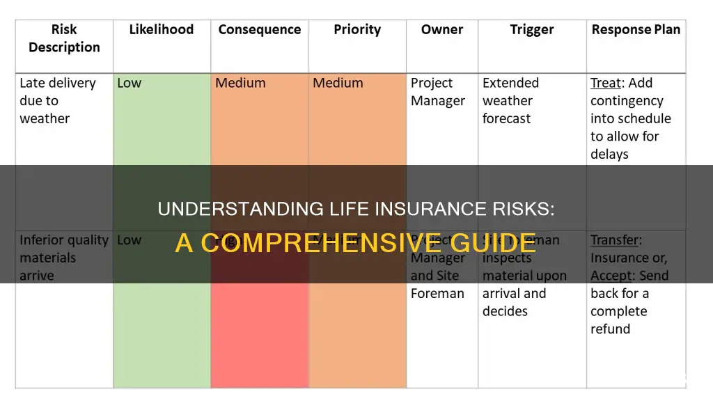 what is life insurance risk