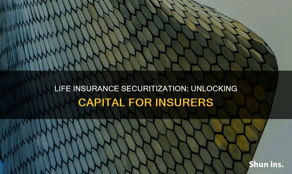 what is life insurance securitization