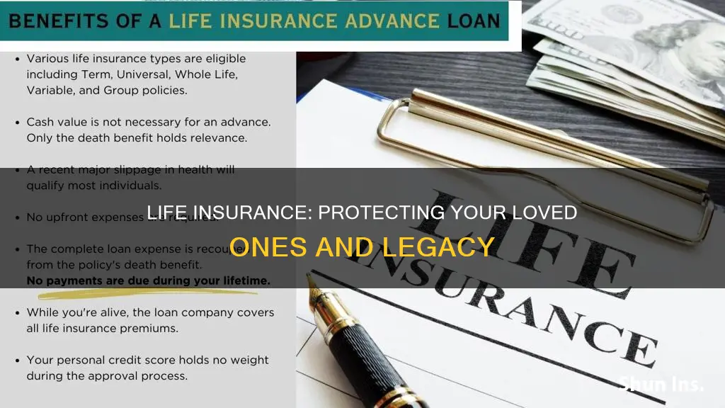 what is life insurance supposed to be used for