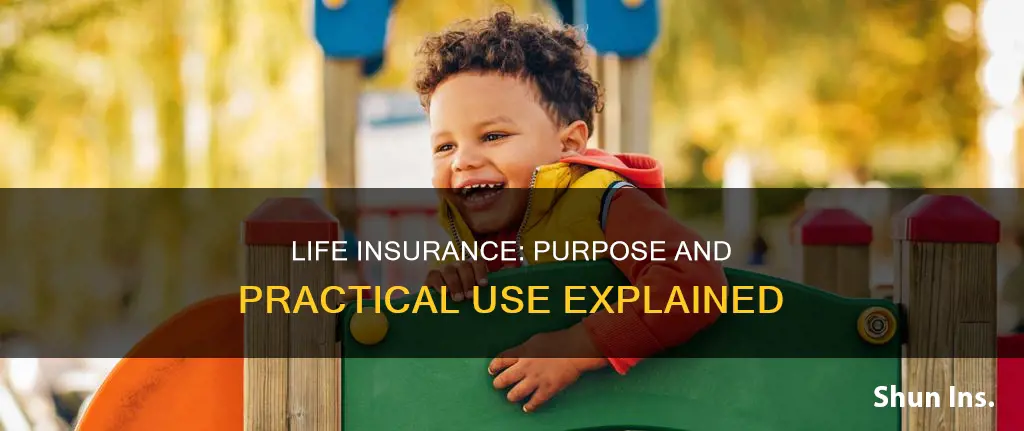 what is life insurance supposed to be used for