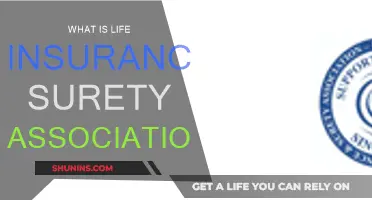 Understanding Life Insurance Surety Association: A Comprehensive Guide