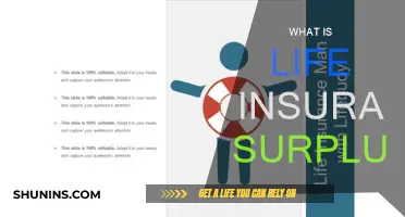 Understanding Life Insurance Surplus: A Comprehensive Guide