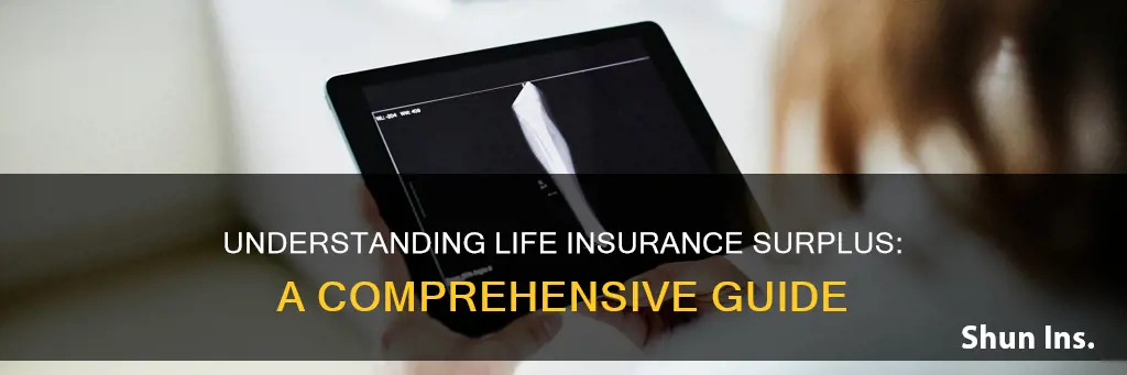 what is life insurance surplus