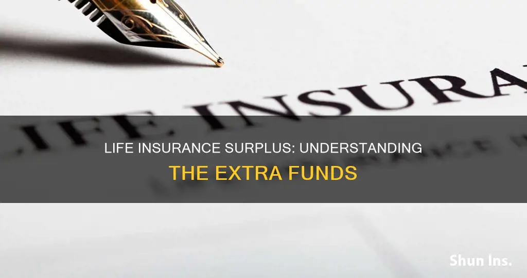 what is life insurance surplus