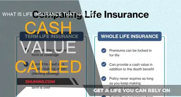 Term Life Insurance: Pure Protection, No Cash Value