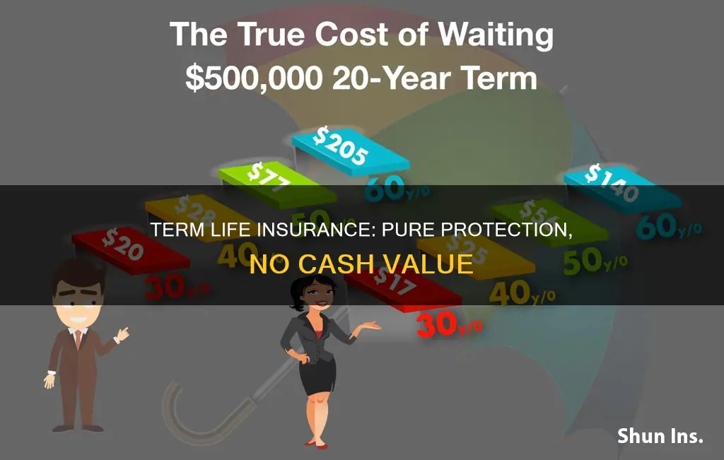 what is life insurance that has no cash value called