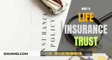 Life Insurance Trust: A Comprehensive Guide