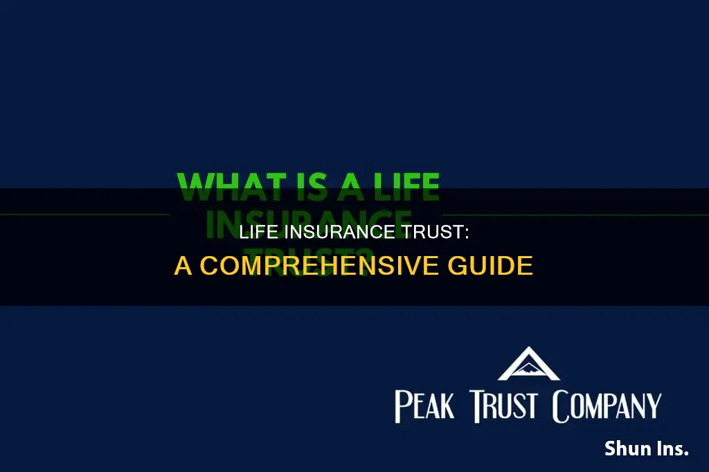 what is life insurance trust