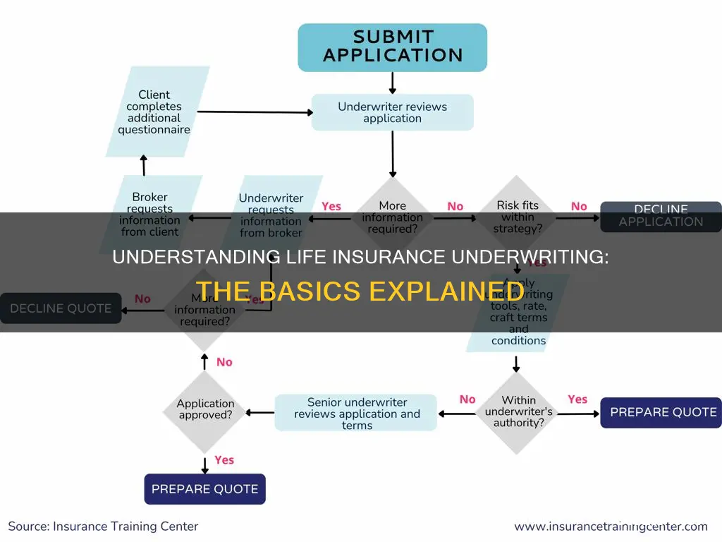 what is life insurance underwriting