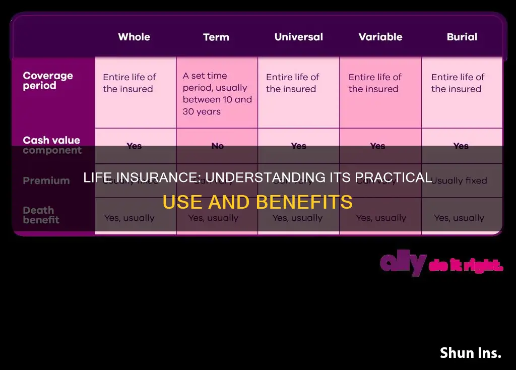 what is life insurance usd for