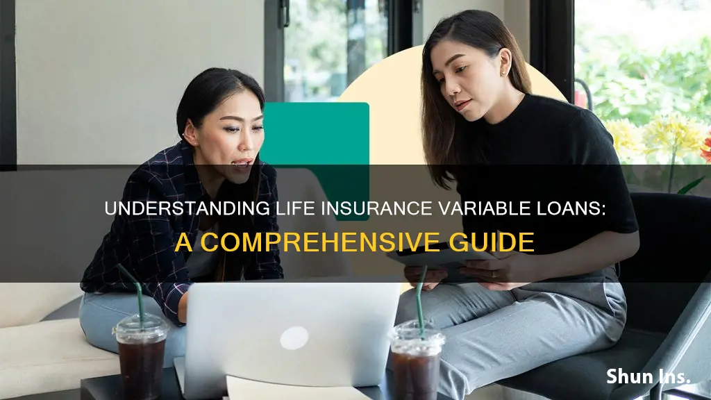 what is life insurance variable loan