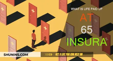 Understanding Life Paid Up at 65 Insurance: A Comprehensive Guide