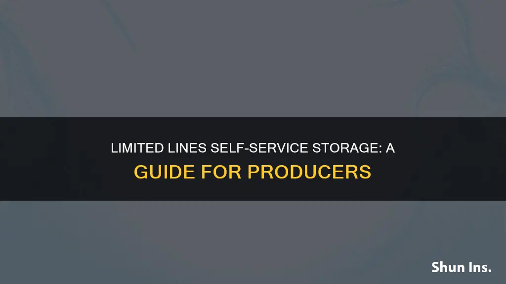 what is limited lines self-service storage insurance producers