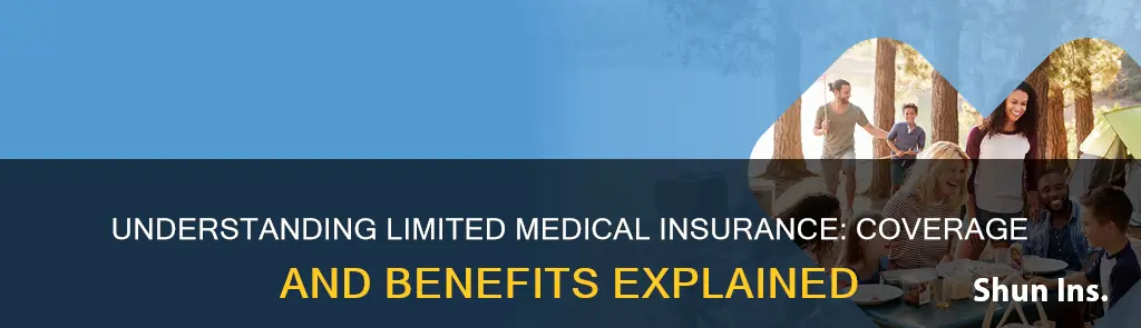 what is limited medical insurance