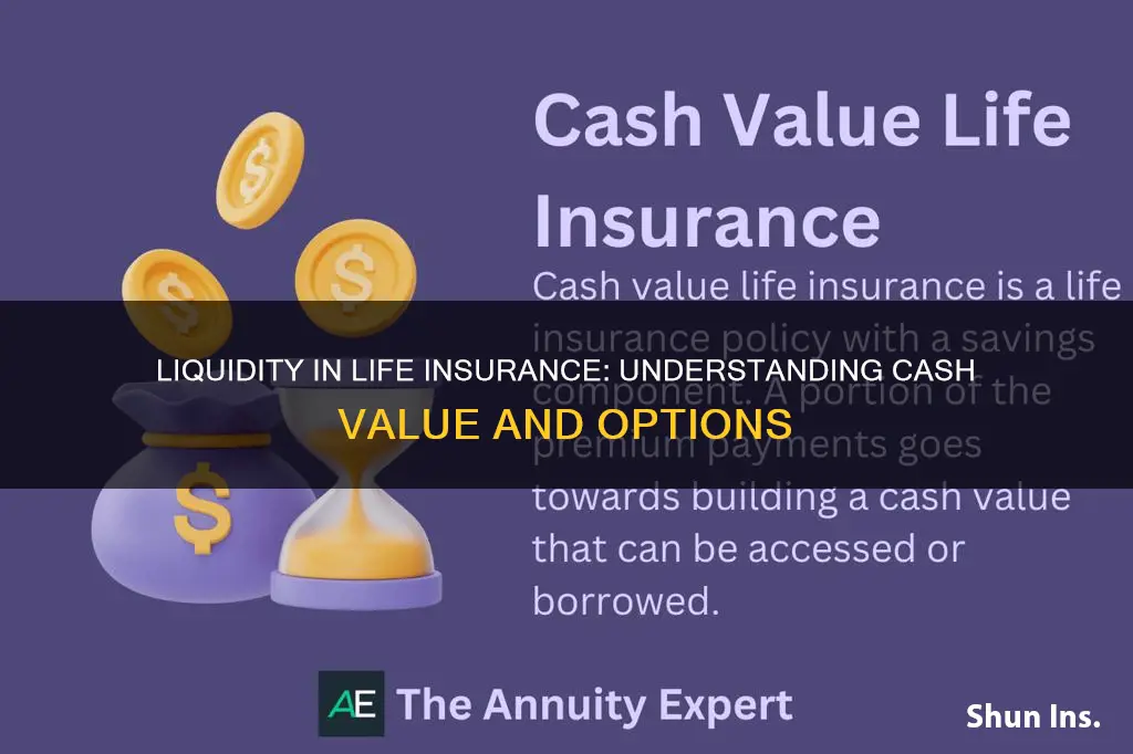 what is liquidity in life insurance