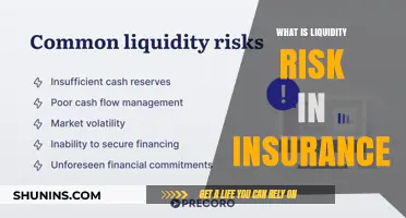 Understanding Liquidity Risk in the Insurance Industry