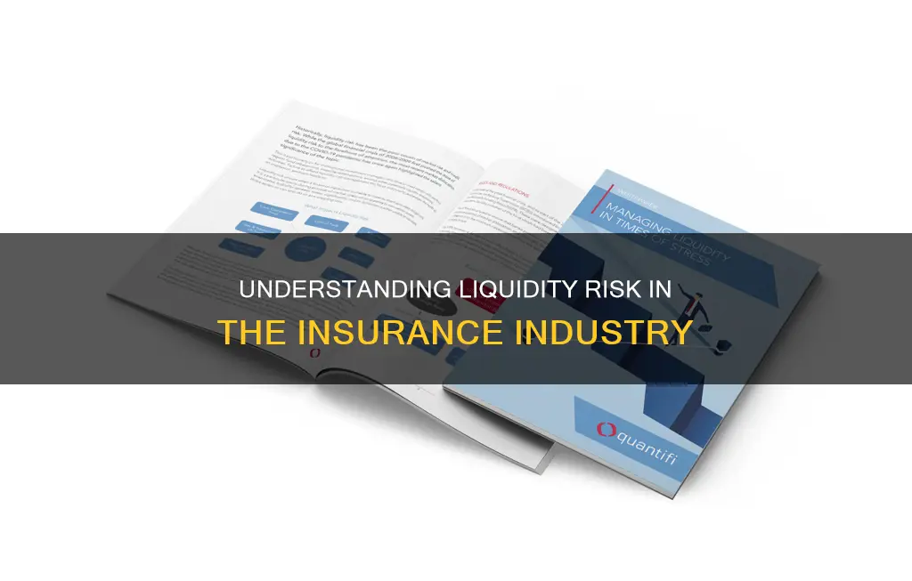 what is liquidity risk in insurance