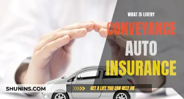 Livery Conveyance Auto Insurance: What You Need to Know